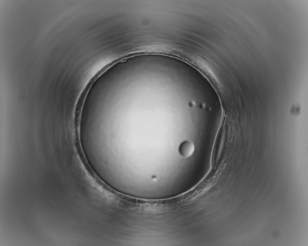 X0000090461087200707201329