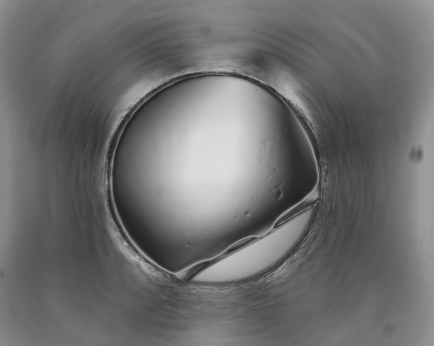 X0000090461088200707201329