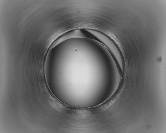 X0000090461089200707201329