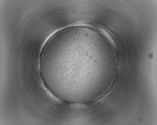 X0000090461092200707201329