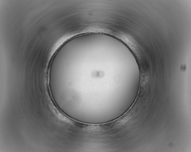 X0000090461094200707201329