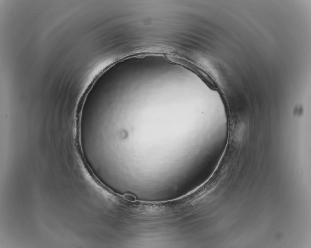 X0000090461095200707201329