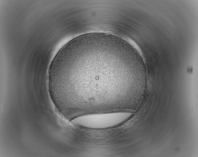 X0000090461096200707201329