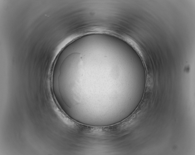 X0000090461098200707201329