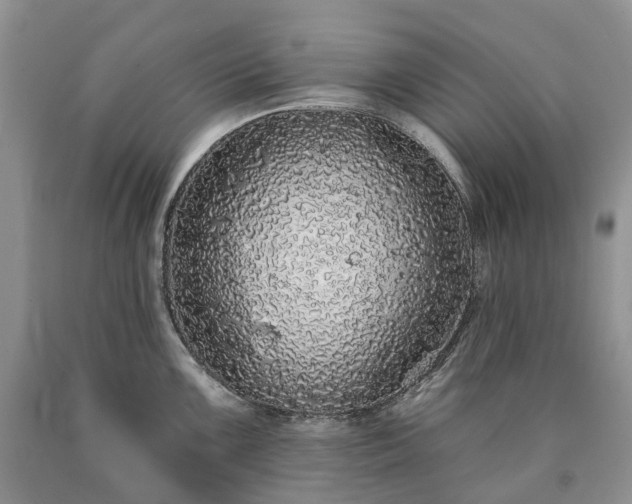 X0000090461099200707201329