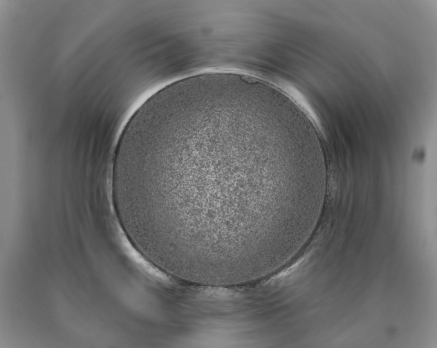 X0000090461100200707201329