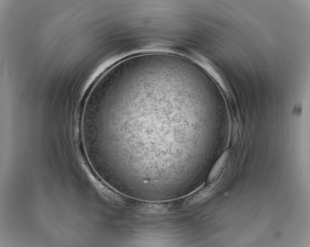 X0000090461101200707201329