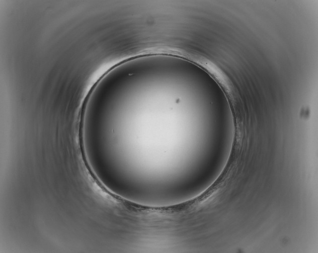 X0000090461102200707201329