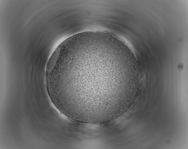 X0000090461103200707201329