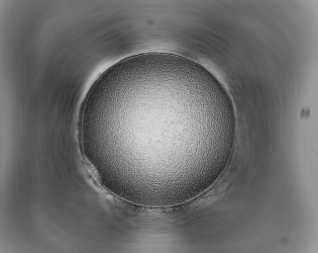 X0000090461104200707201329