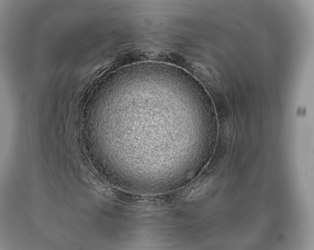 X0000090461105200707201328