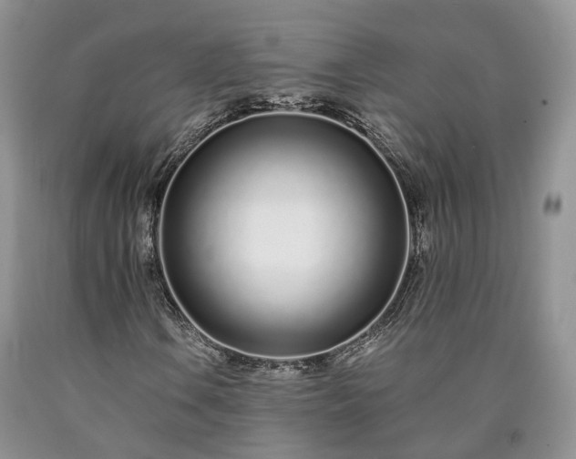 X0000090461106200707201328