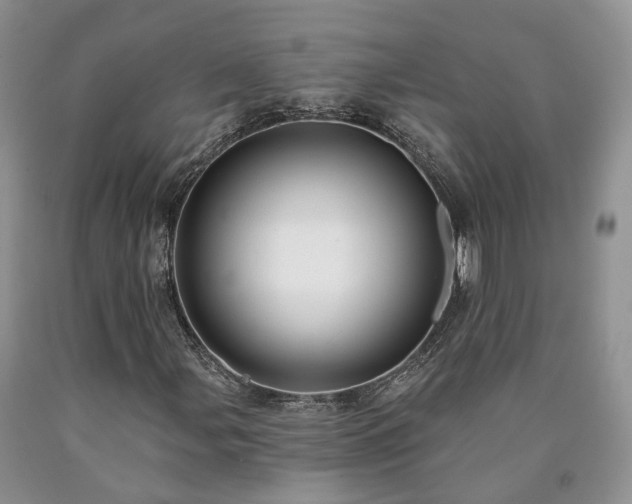X0000090461107200707201328