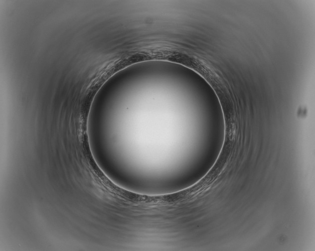 X0000090461108200707201328