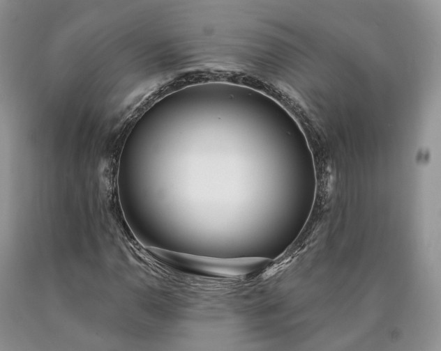 X0000090461110200707201328