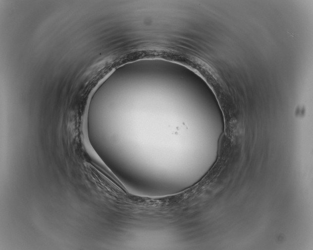 X0000090461111200707201328