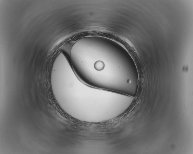 X0000090461112200707201328