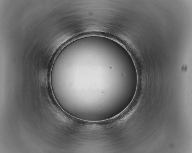 X0000090461113200707201328