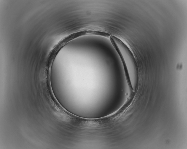 X0000090461115200707201328