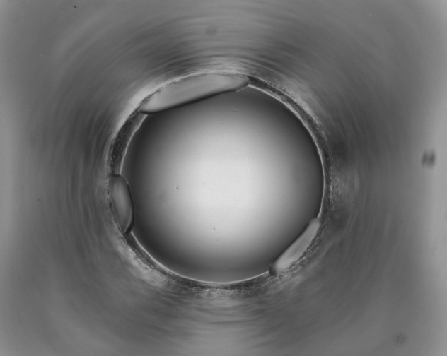 X0000090461116200707201328