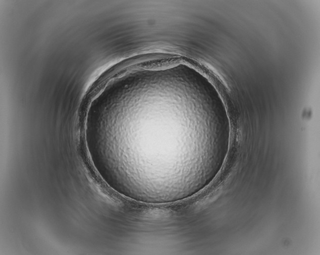 X0000090461117200707201328