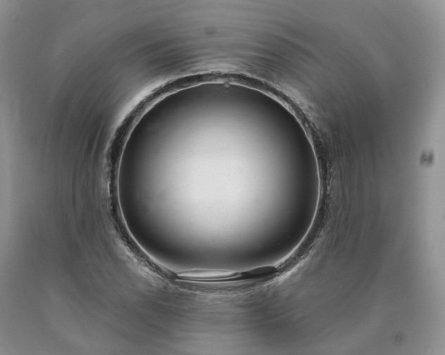 X0000090461118200707201328