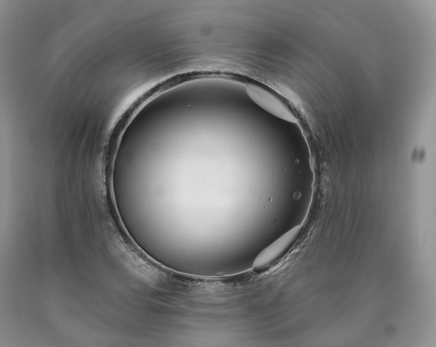 X0000090461120200707201328