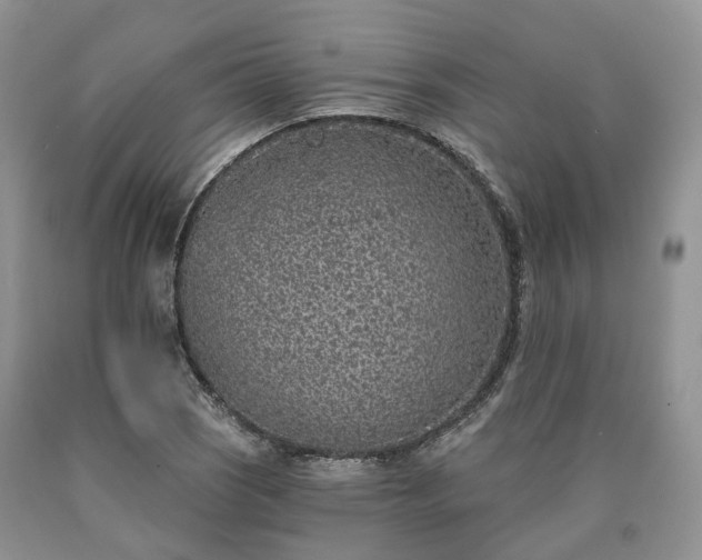 X0000090461121200707201328