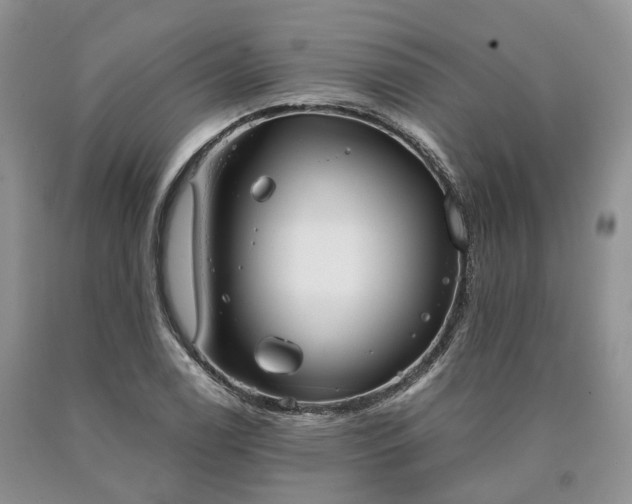 X0000090461122200707201328