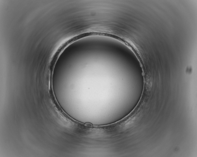 X0000090461123200707201328