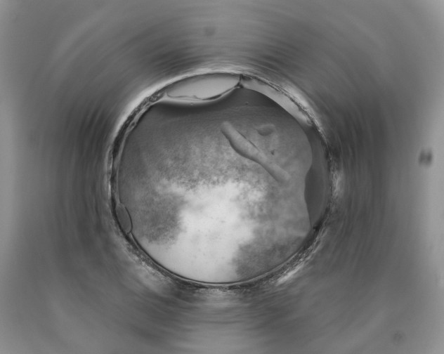 X0000090461124200707201328