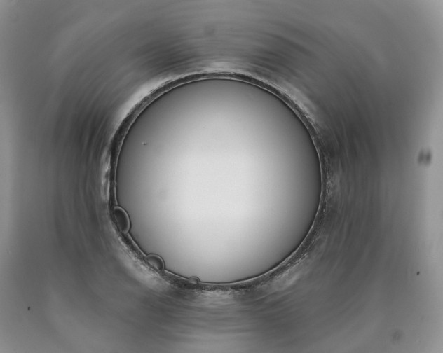 X0000090461126200707201328