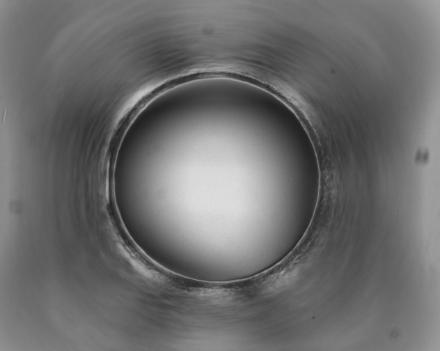 X0000090461127200707201328