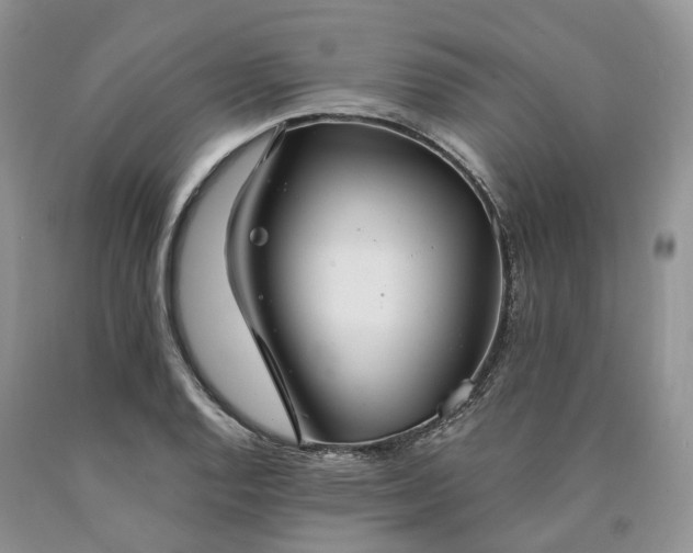 X0000090461128200707201329