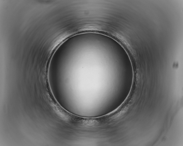 X0000090461129200707201329