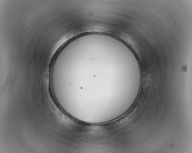 X0000090461130200707201329