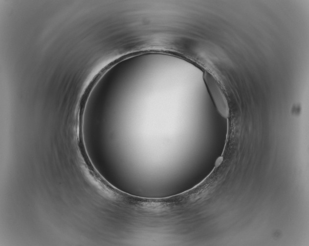 X0000090461132200707201329