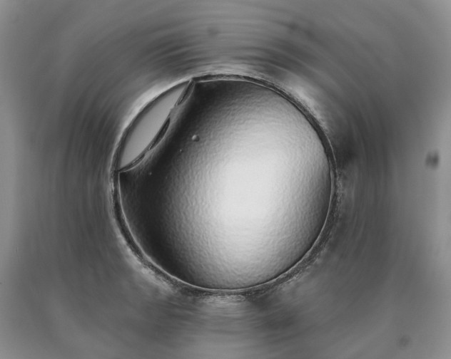 X0000090461133200707201329