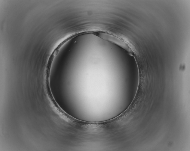 X0000090461134200707201329