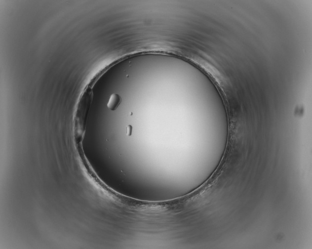 X0000090461135200707201329