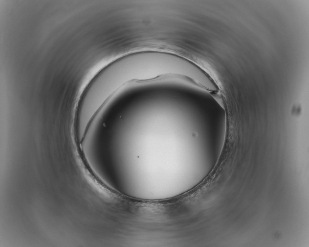X0000090461136200707201329