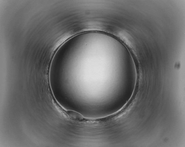 X0000090461137200707201329