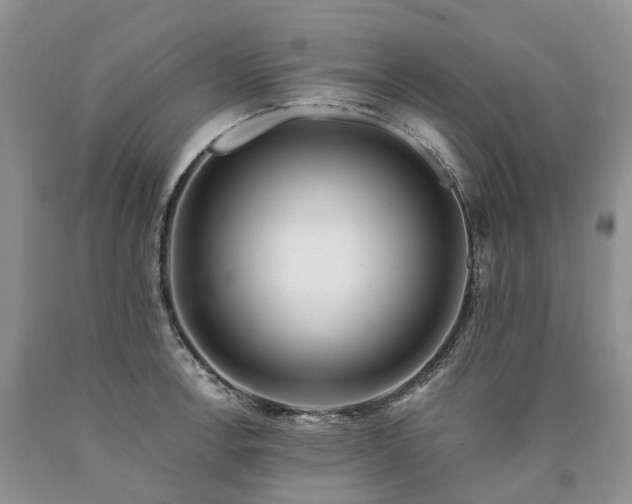 X0000090461138200707201329