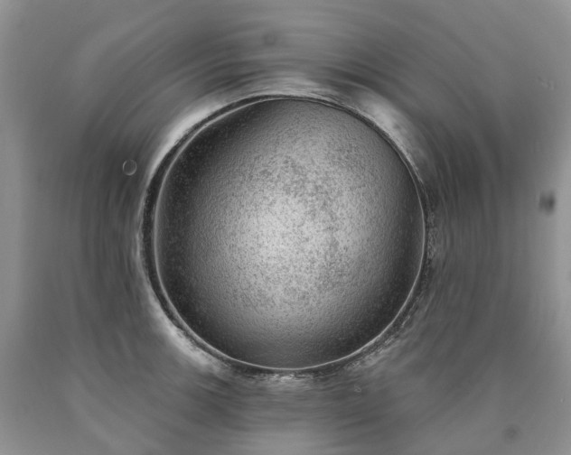 X0000090461139200707201329
