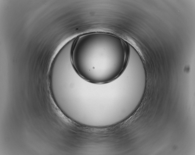 X0000090461140200707201329