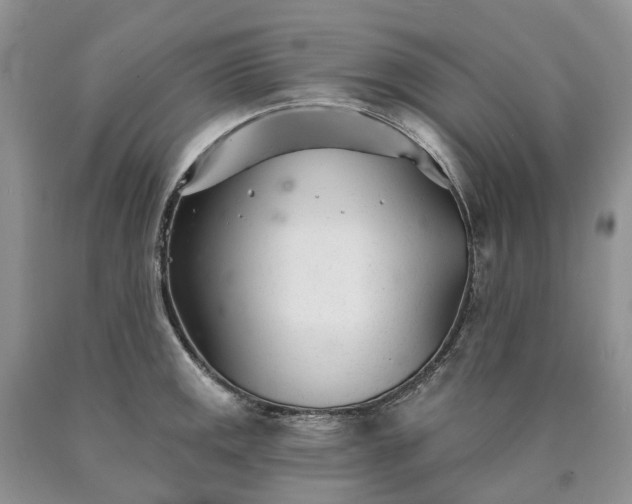 X0000090461141200707201329