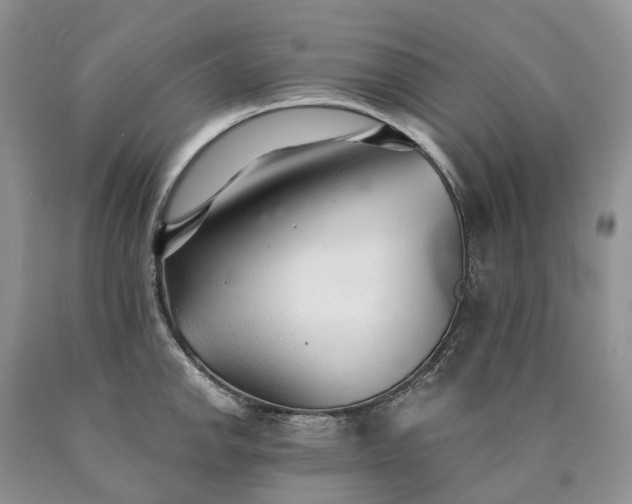 X0000090461142200707201329