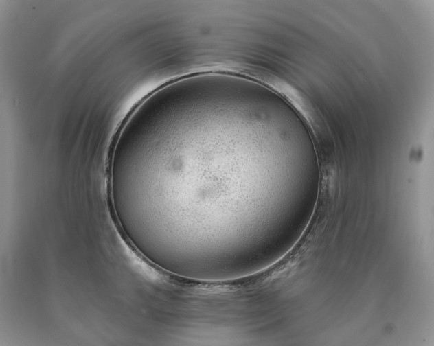 X0000090461143200707201329