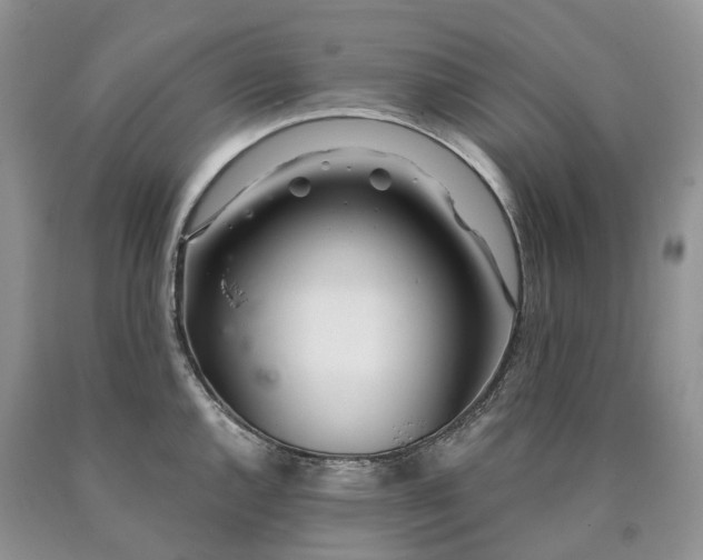 X0000090461144200707201329