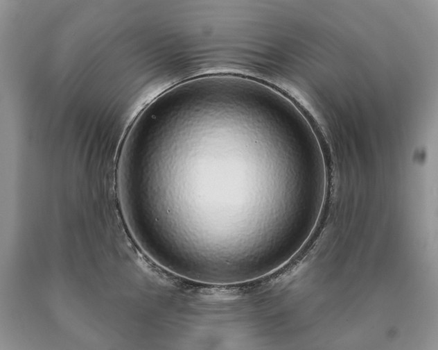 X0000090461145200707201329